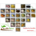 Nature Sweetener Monk Fruit Extract 80% Mogrosides Erythritol Blend